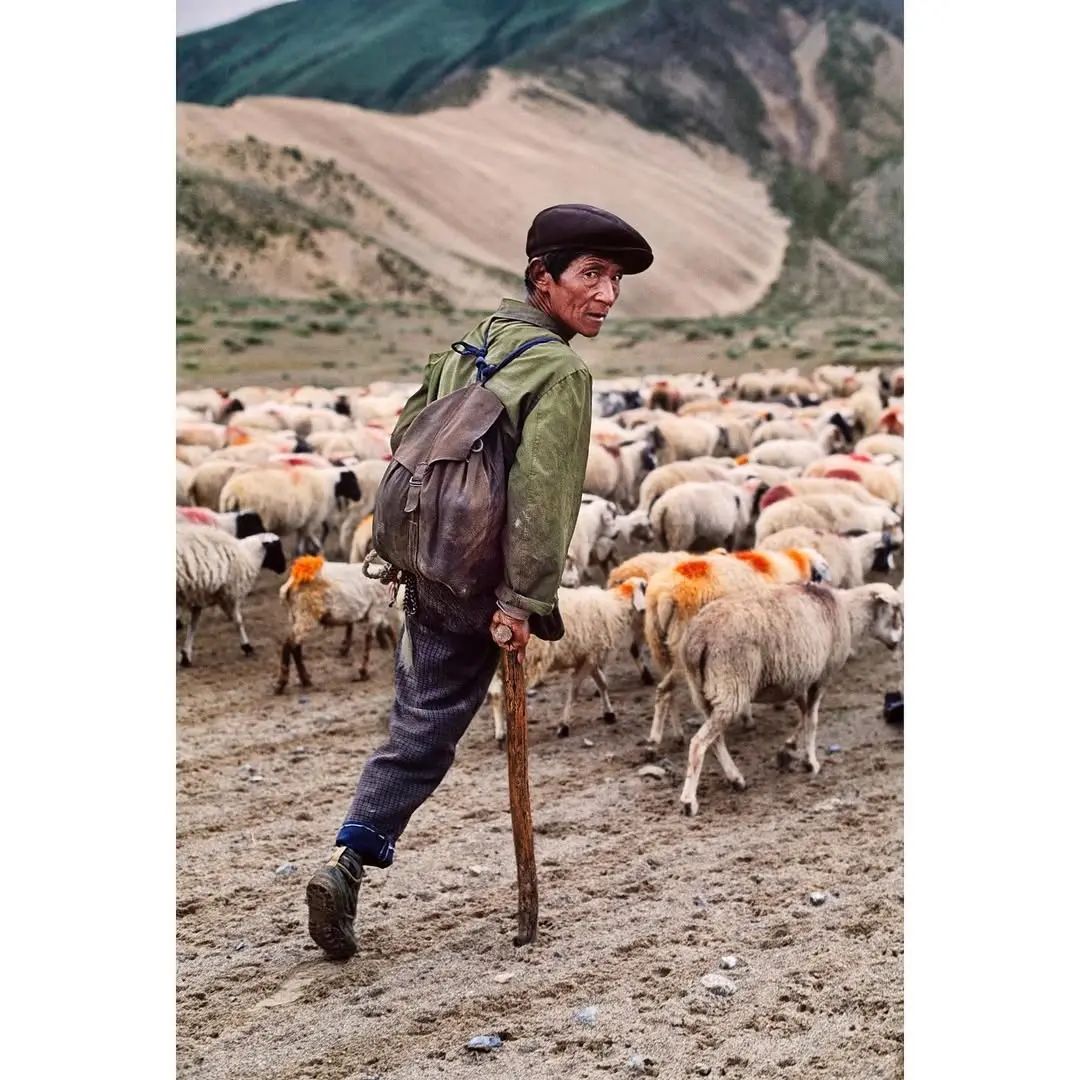 人文影像｜Steve McCurry.给大家介绍一位殿堂级纪实摄影师 ...