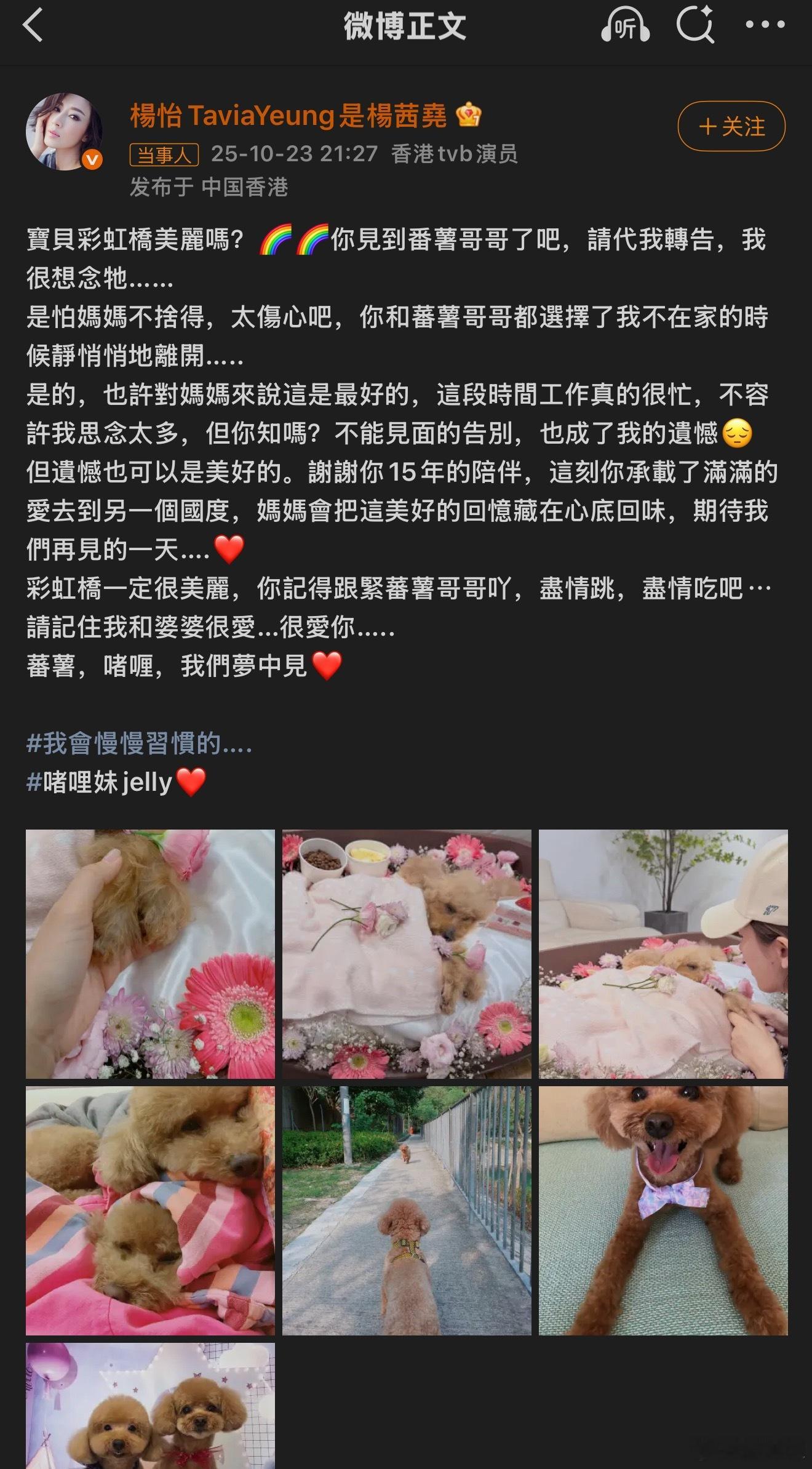 演员杨怡为离世爱犬举办告别仪式阿怡真的人美心善❤️❤️