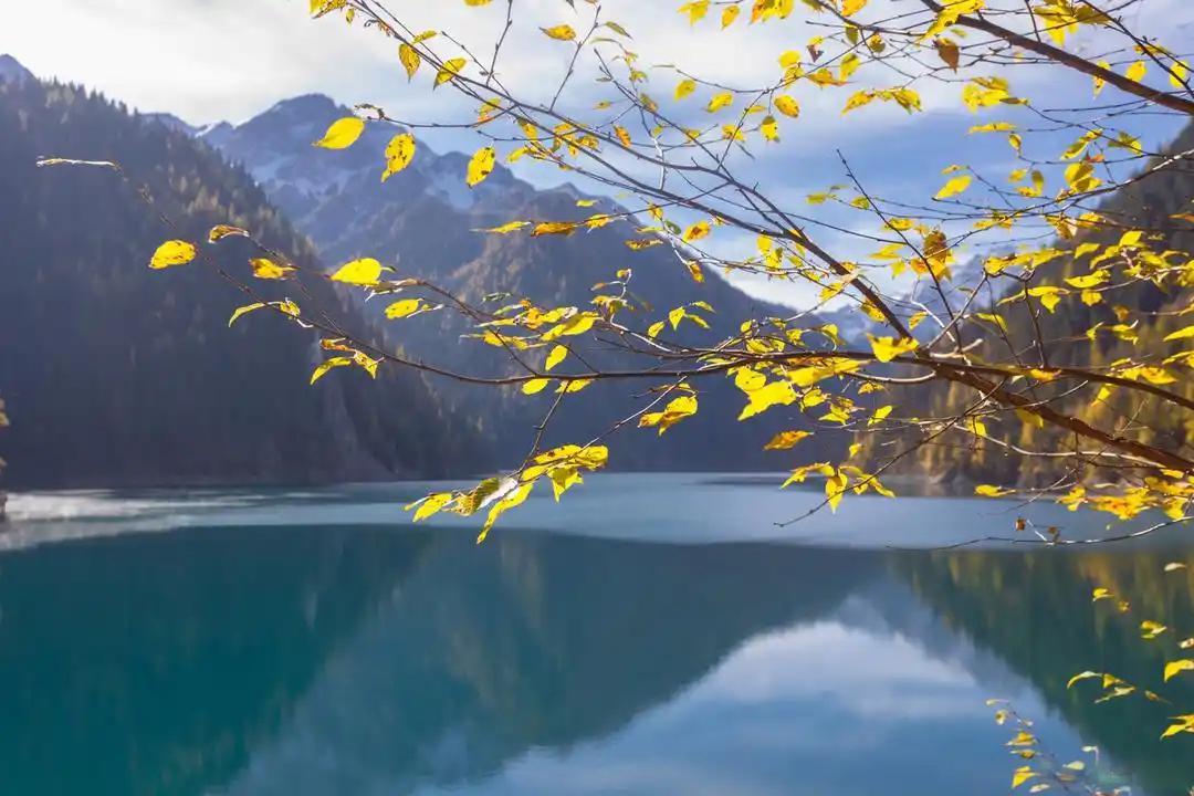 你的念，才是最好的风水“你的命根本就不用算，你只管盯一样，就是你的念。不管