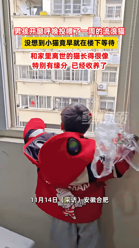 这下科学也无法解释了！近日安徽合肥，妈妈跟儿子正在吃午饭，突然儿子放下碗筷冲着窗