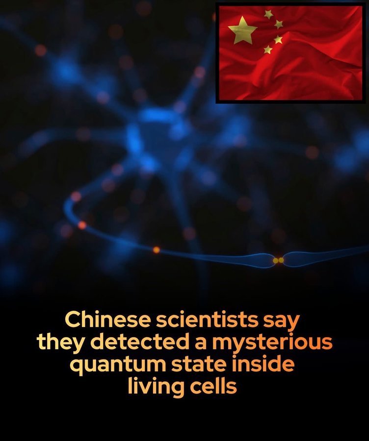 #今天要来点生物学吗？#上海科技大学报告了一项非常前沿的发现Aquantumstateofmitoc