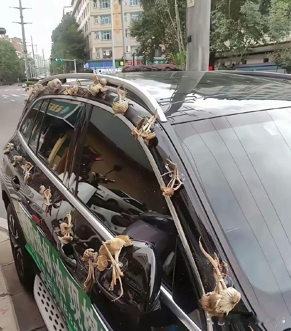 这是啥习俗啊？