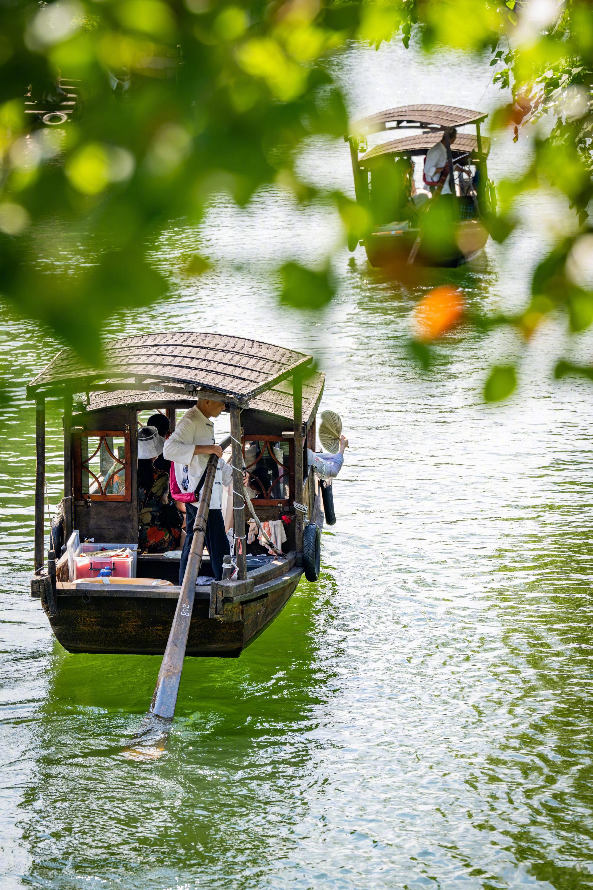 【这里是浙江】初夏的乌镇，暑气已在空气中悄然漫溢，艾草的清香正顺着廊棚的缝隙偷偷