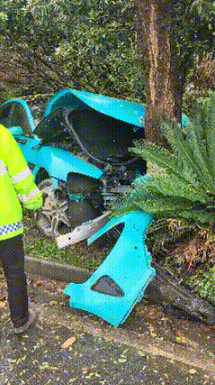 又又又出来丢人现眼了。网友3月31日发布视频，路遇一起车祸，啥车型不说了，颜色