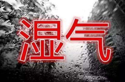 根治湿气很简单, 5片土茯苓加它炖, 3天下来湿气全无
