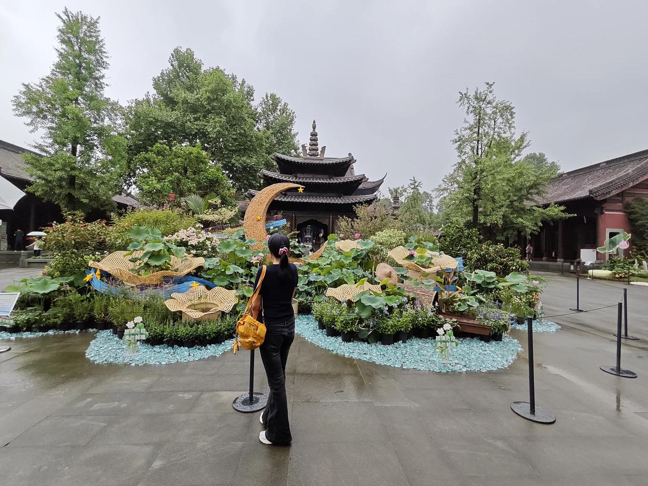 6月24日是杭州西湖日，杭州钱王祠景区举办西湖莲荷展。众多品种竞相开放，游客们可