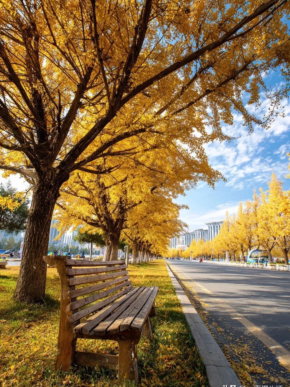 找对象必须看对方父母有没有退休金？这位大姐的话虽然刺耳，却把多少家庭不敢摆在台