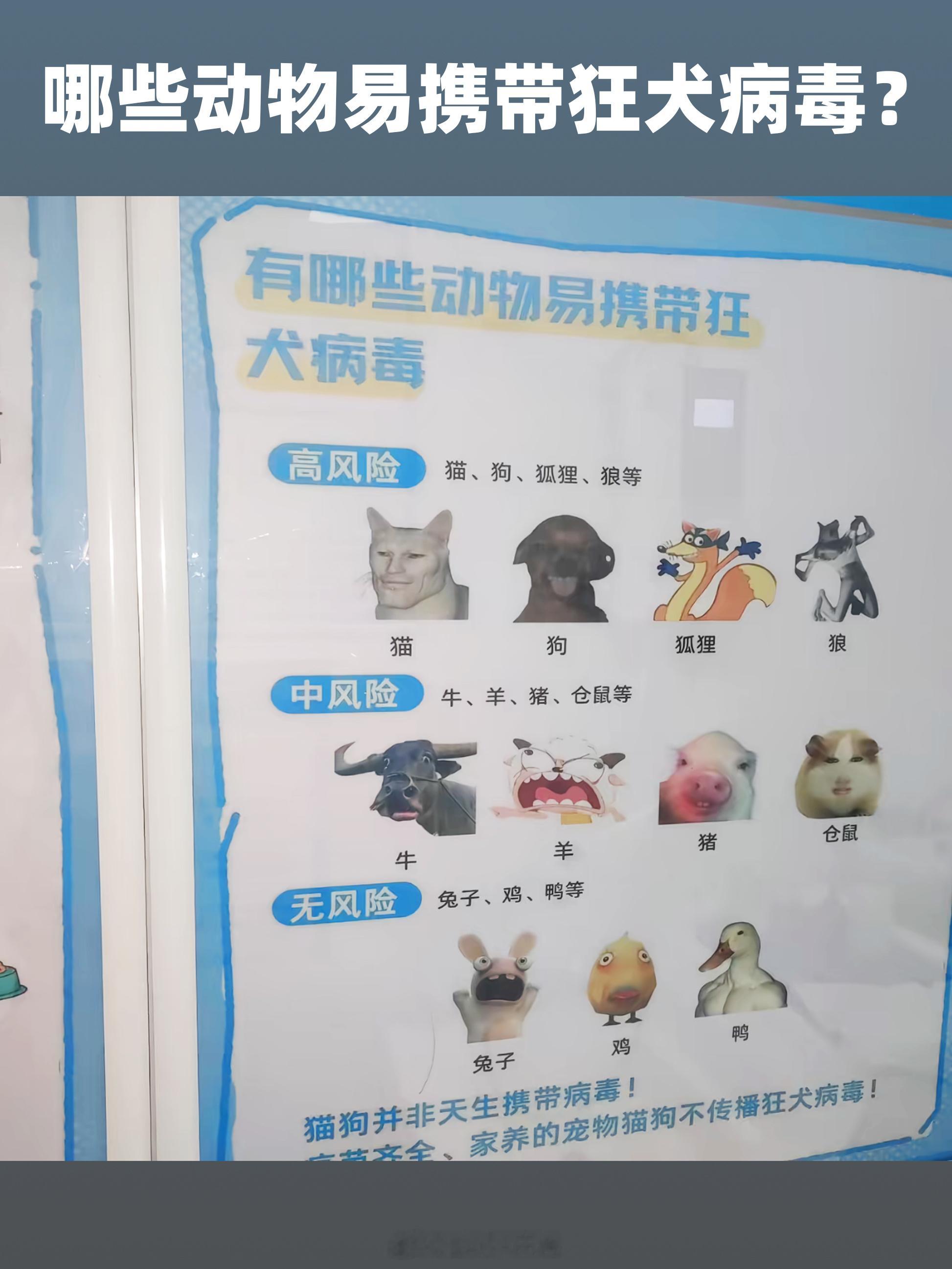 哪些动物易携带狂犬病毒？普通科普不一定会看...但是做成这样，多少会去看一眼[笑