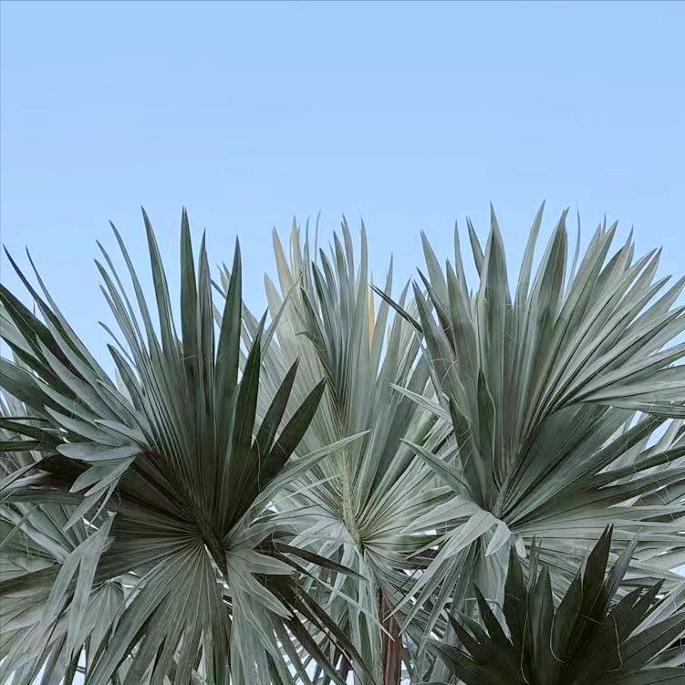 今天上午  山东：执纪审查1人 4月20日上午，该省执纪审查1人，为70后