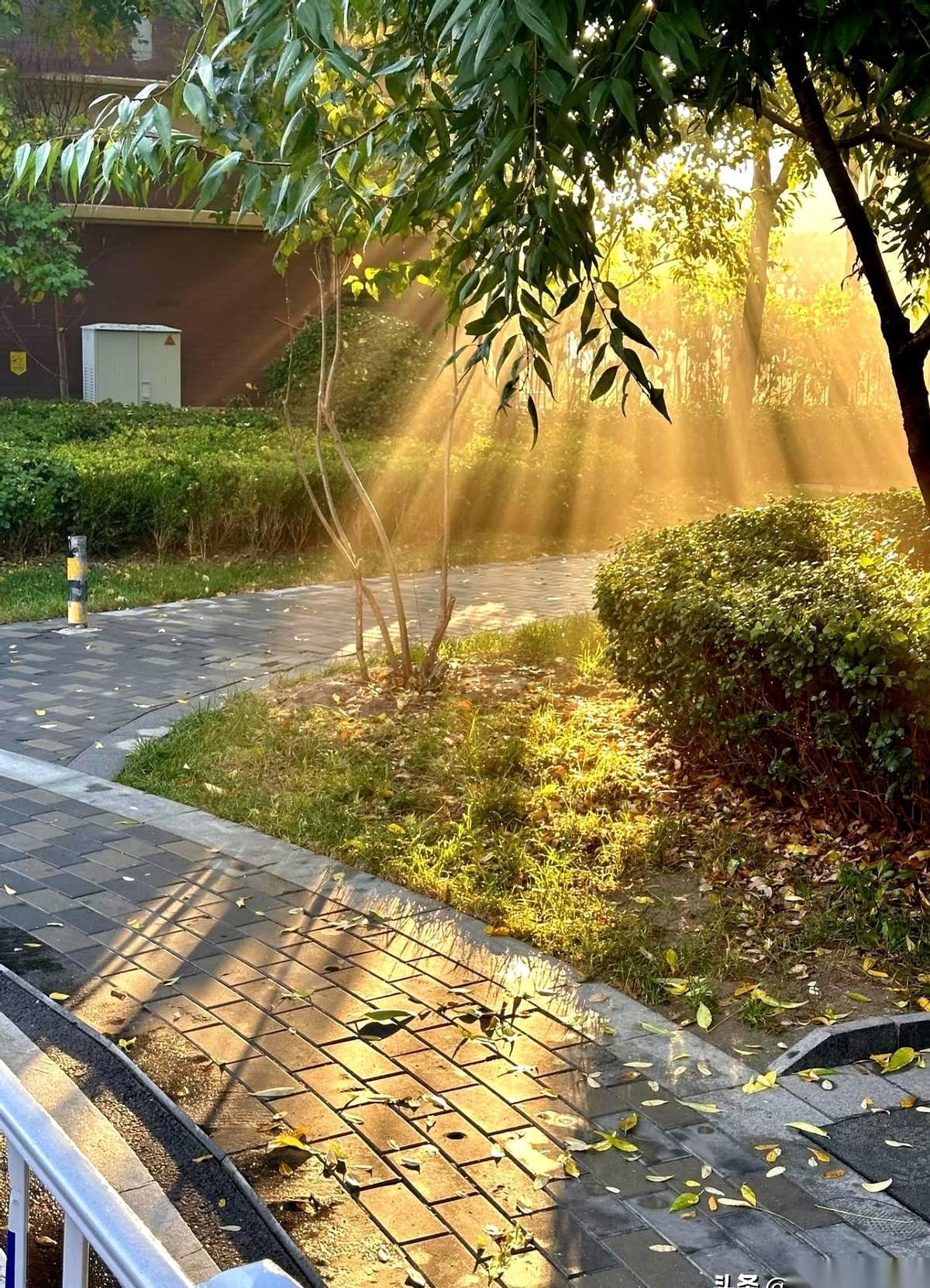 我姨父，跑了二十年货车，52岁，人睡过去就没醒。身后留下两套房，一辆车，一百来