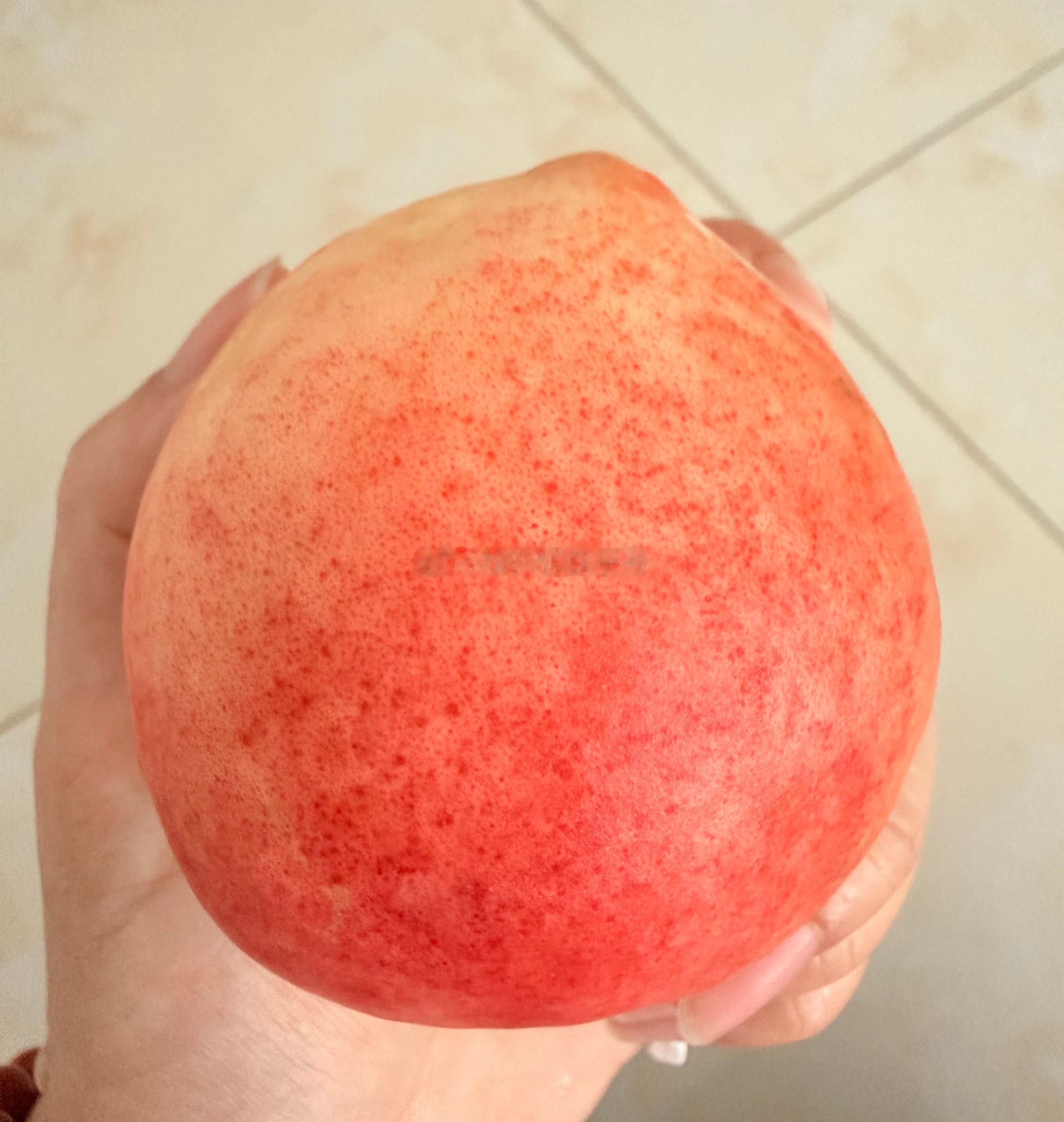又吃上大舅的桃子啦，八十岁大舅坚持上班，还是开车上下班，果园里还种植苹果、桃子，