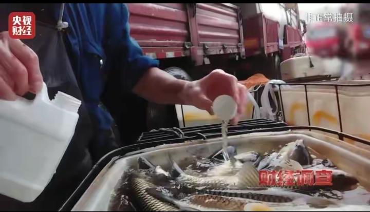 央视曝光“麻醉活鱼”黑幕｜央视财经调查曝光触目惊心的水产潜规则：重庆、山东临