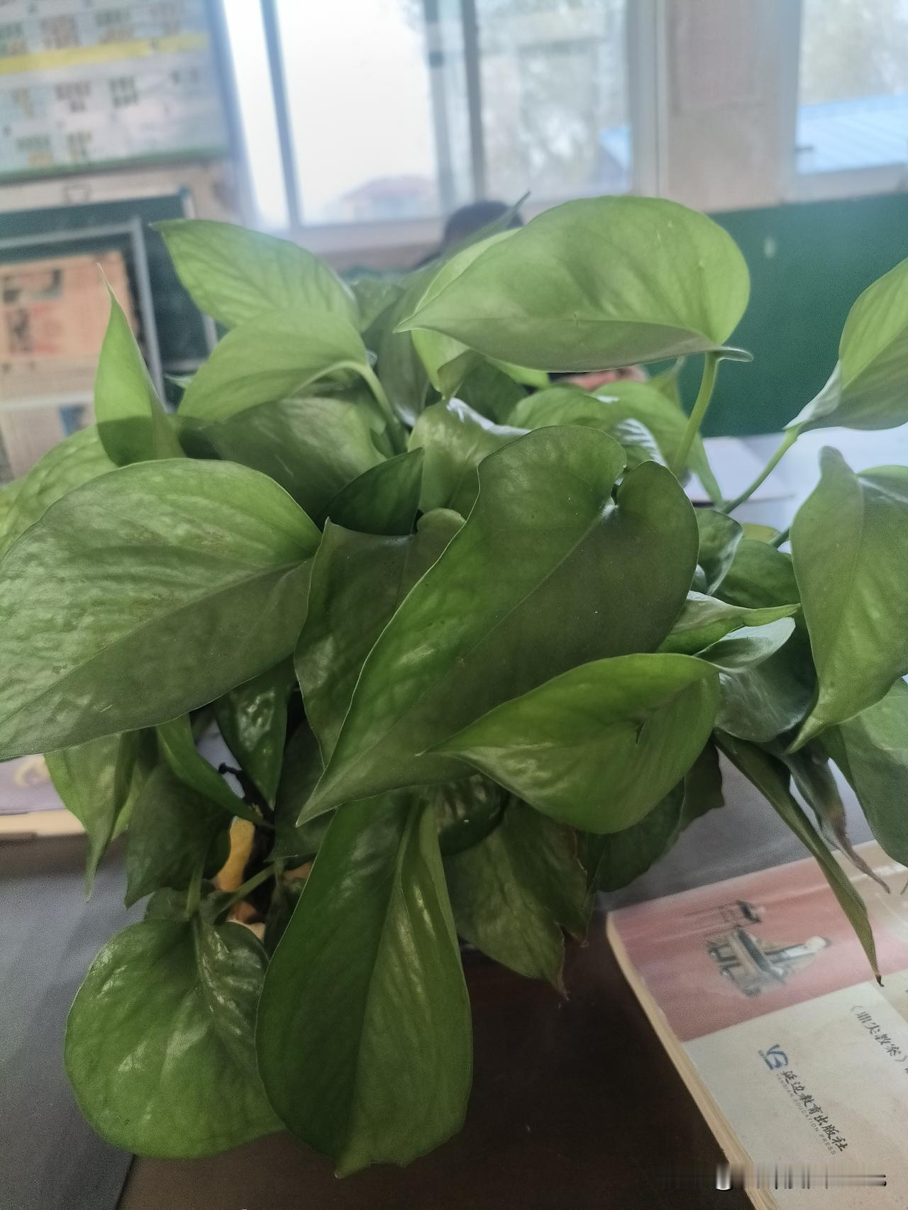 车站厕所盖个小广告，月入三万？广州破获特大案件，揭开花色情完整产业链广州