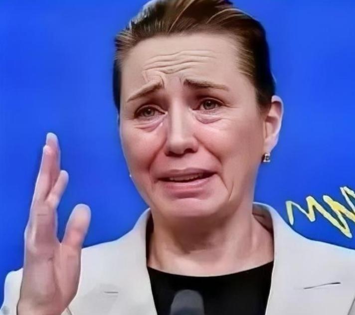 丹麦政府痛恨中国，丹麦的外交大臣拉斯穆森表示，过去不允许中国对格陵兰岛投资，现在