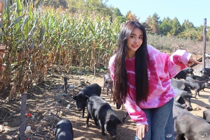 金子涵显然精神状况很差，但是她备忘录提到的时间点应该不会出差错。按照这个线索扒，