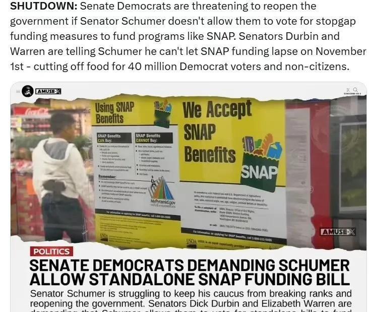 参议院民左党人威胁说，如果参议员舒默不允许他们投票，支持临时资金措施来资助像S