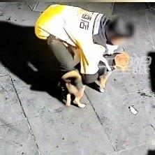 最近江苏无锡出了件让人又气又心疼的事儿。汤女士在自家店里养了两只狗，一只养了一年