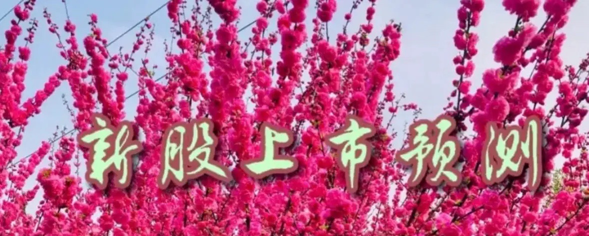 振宏股份上市价格预测振宏股份（920200）5月7日（周四）在北交所上市交易。