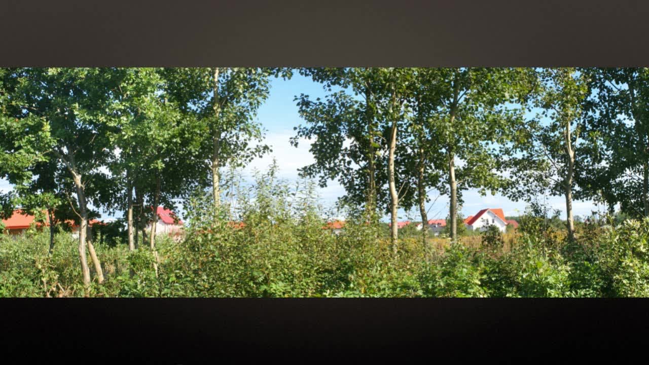 老歌 - Dj - 红 歌 九九女儿红