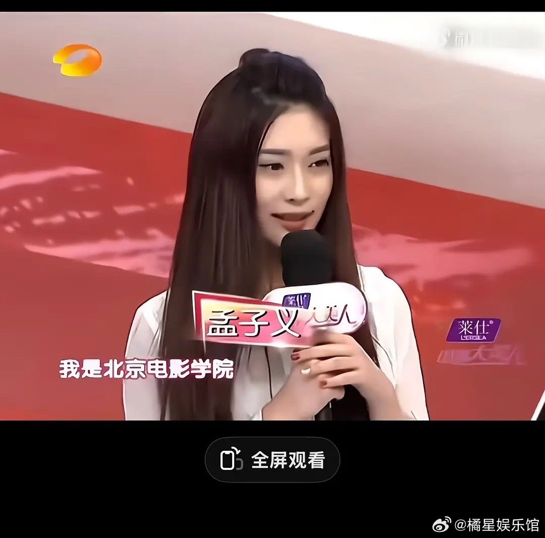 孟子义做了什么项目，之前是这样的