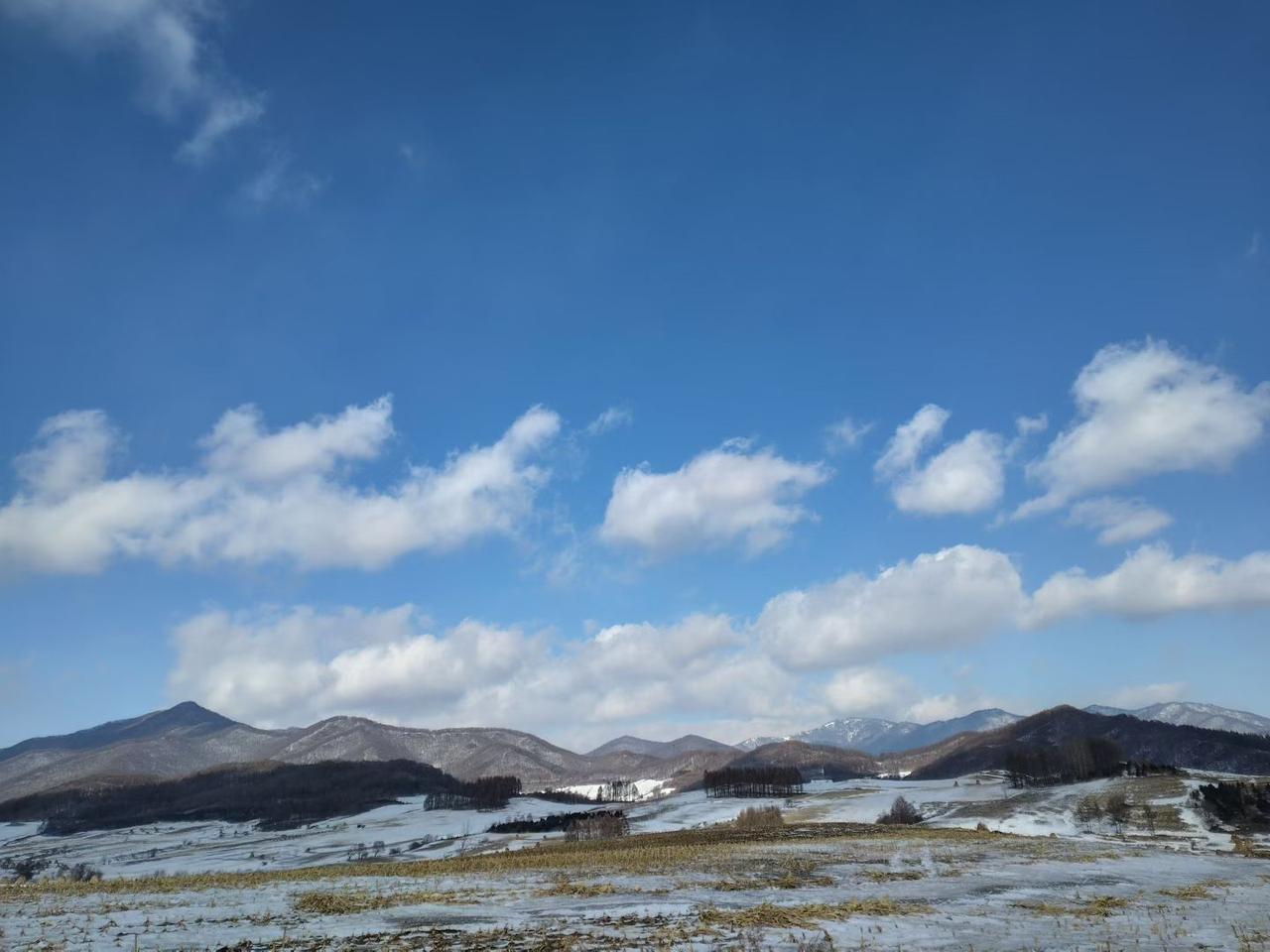 与痛风斗争的历程162早上起床，浑身关节状态都很正常，没有任何不适与
