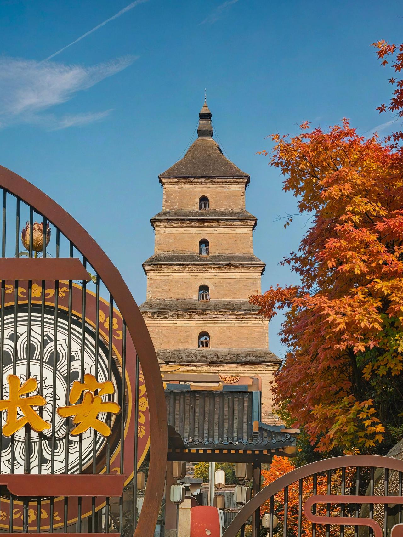 虽然已入冬，但依然想留住西安的秋色。你别说，蓝厂手机镜头下的西安秋色，真好看