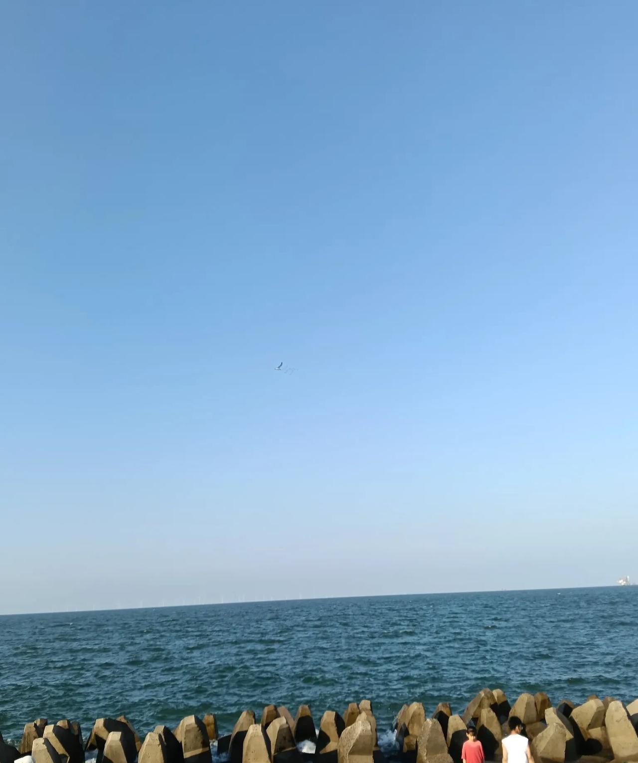 周深不断探索音乐新领域，这简直太牛了！就说2024年，他的《好风起》和《心同此愿