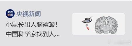 就说不要把食物带进图书馆，这下好了。​​​