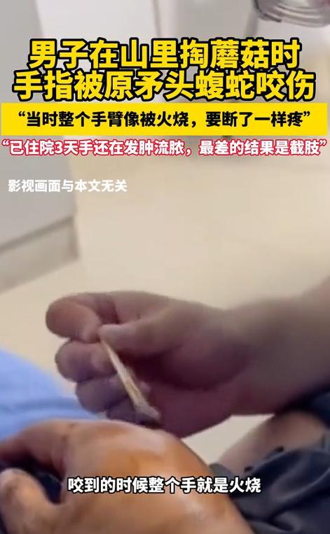 “长点心吧！”前两天，四川一男子上山想着弄点蘑菇尝尝鲜，结果掏着掏着，发现一窝乌