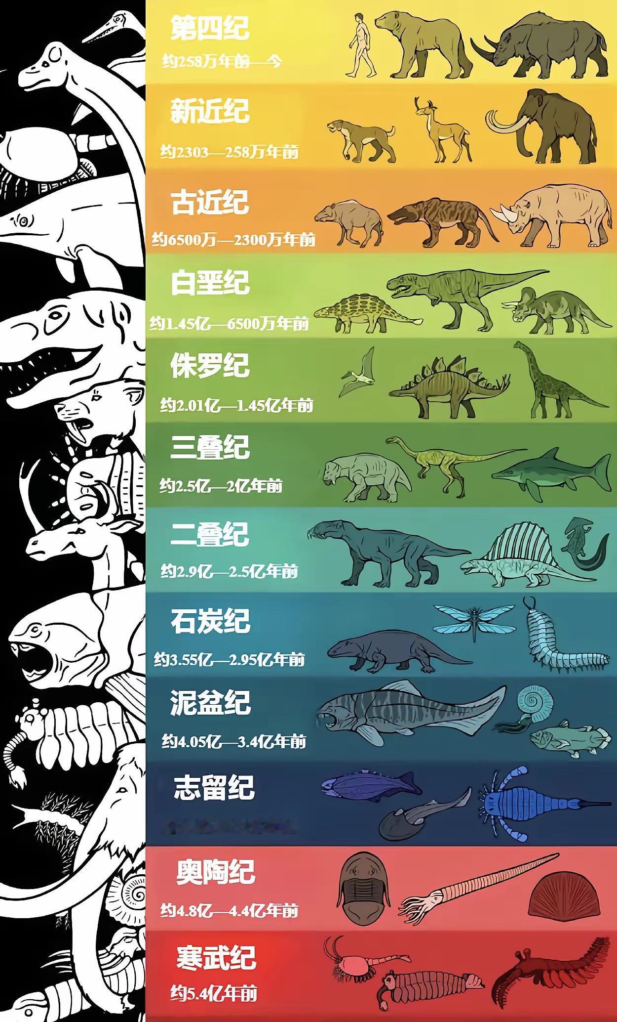 远古时代动物进化历史[狗头]