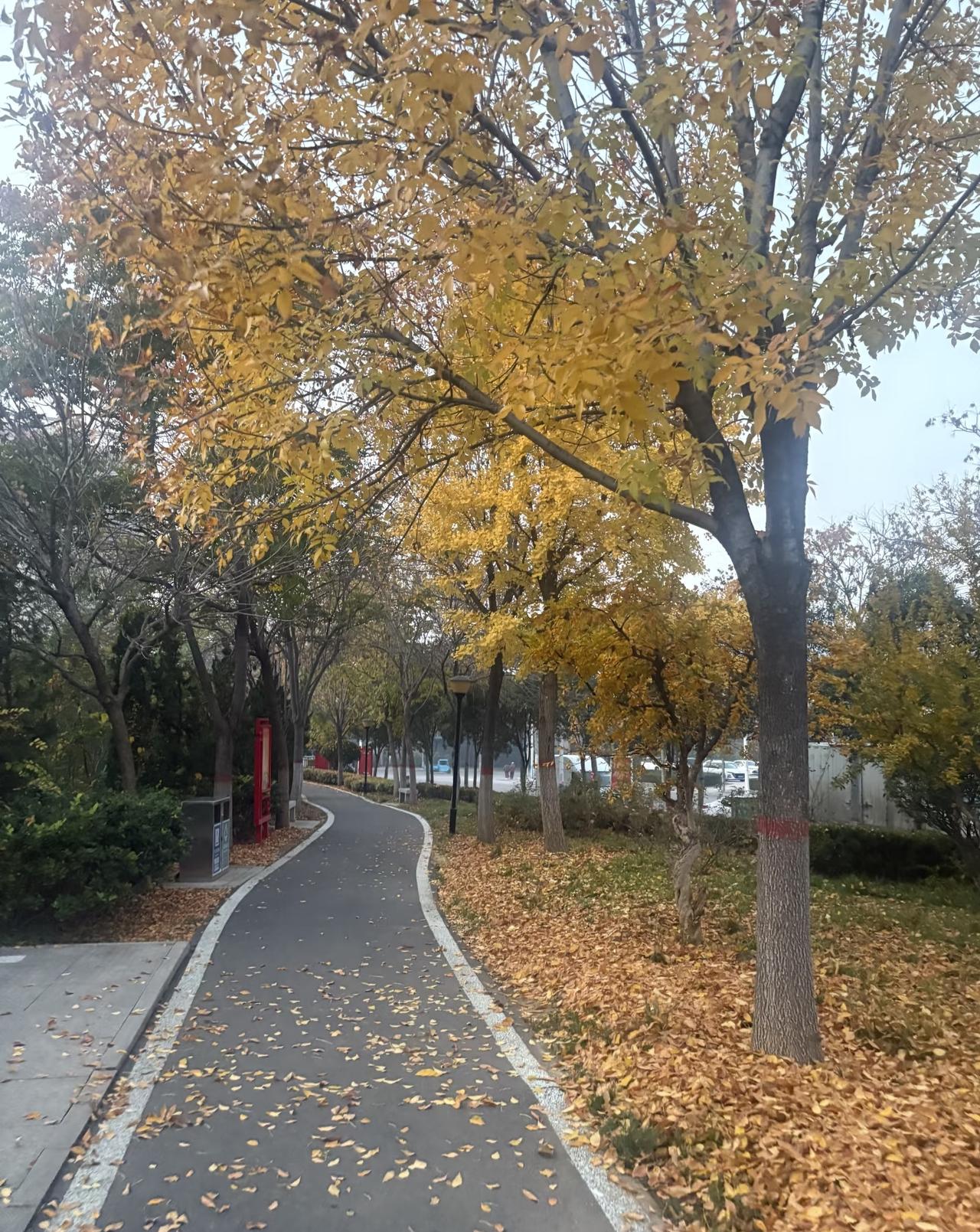 晨跑，无人打扰，跑完后一天都有好心情，这种愉悦感延续到生活和工作中去，会更加的应