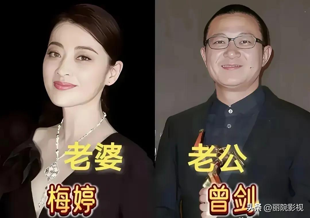 《父母爱情》百看不厌的电视剧。在《父母爱情》中，梅婷虽然未有亲身育儿经验，却能