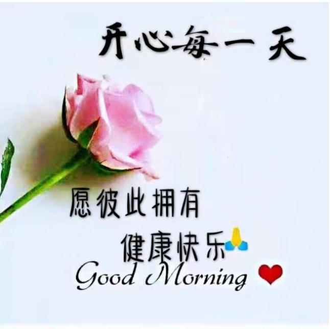 末伏第四天，暑氣未走遠，秋意靜悄來，願夏秋交替，照顧好自己，我們都平安