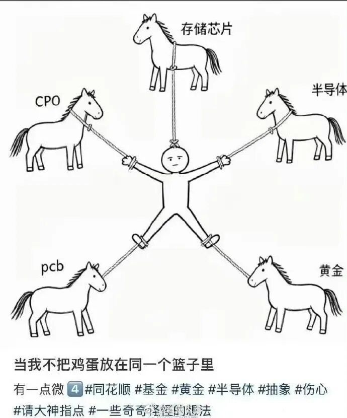 俗话说不要把鸡蛋放在同一篮子里