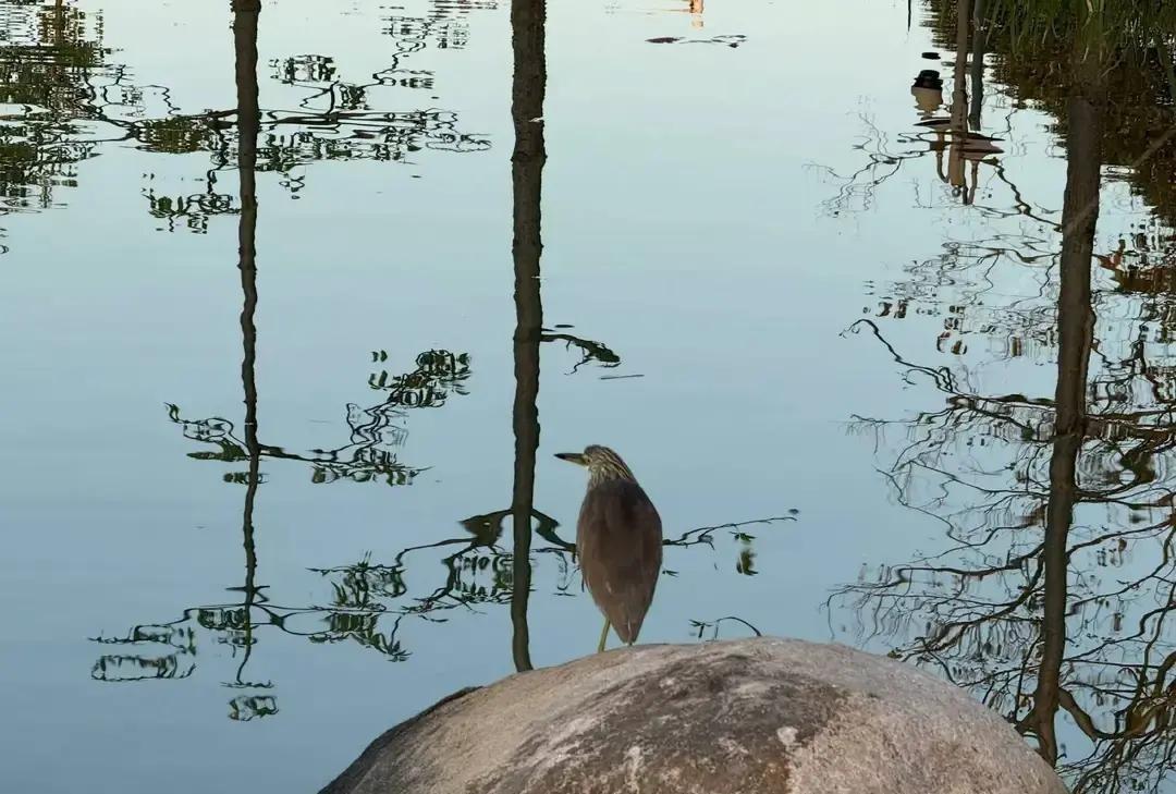 儿子前天说他和媳妇把离婚证领了，我听完只嗯了一声，没哭没闹。媳妇昨天照常给我发