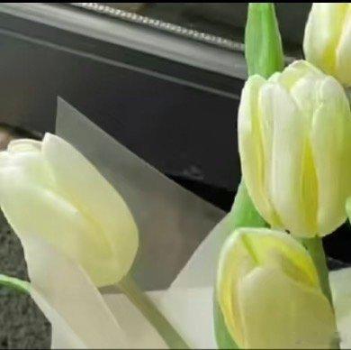 善良是一束美丽的玫瑰，当你赠送他人时，也为你自己留下了满室的芬芳;善良是冬天里的