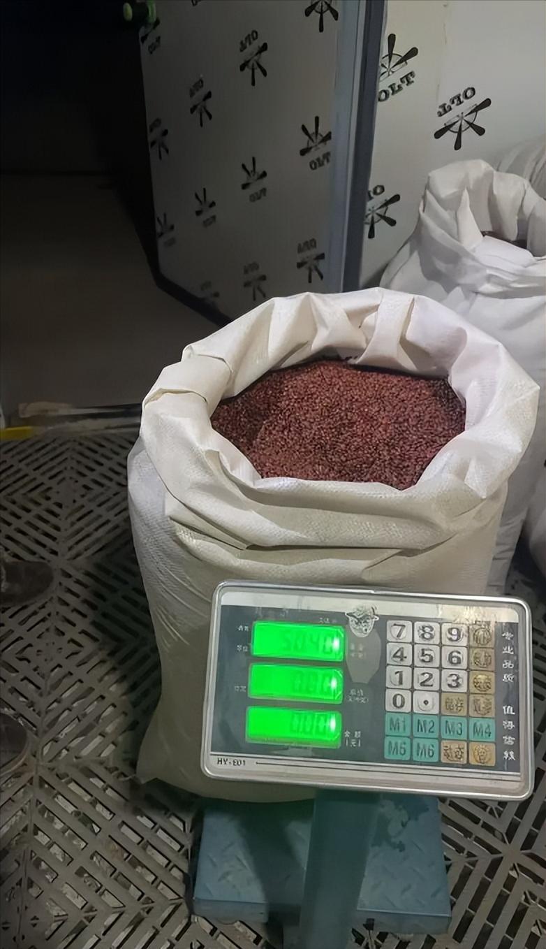 🤩陕西渭南，男子从事中药材购销工作，有个大客户要购买2.5吨酸枣仁，他喜出