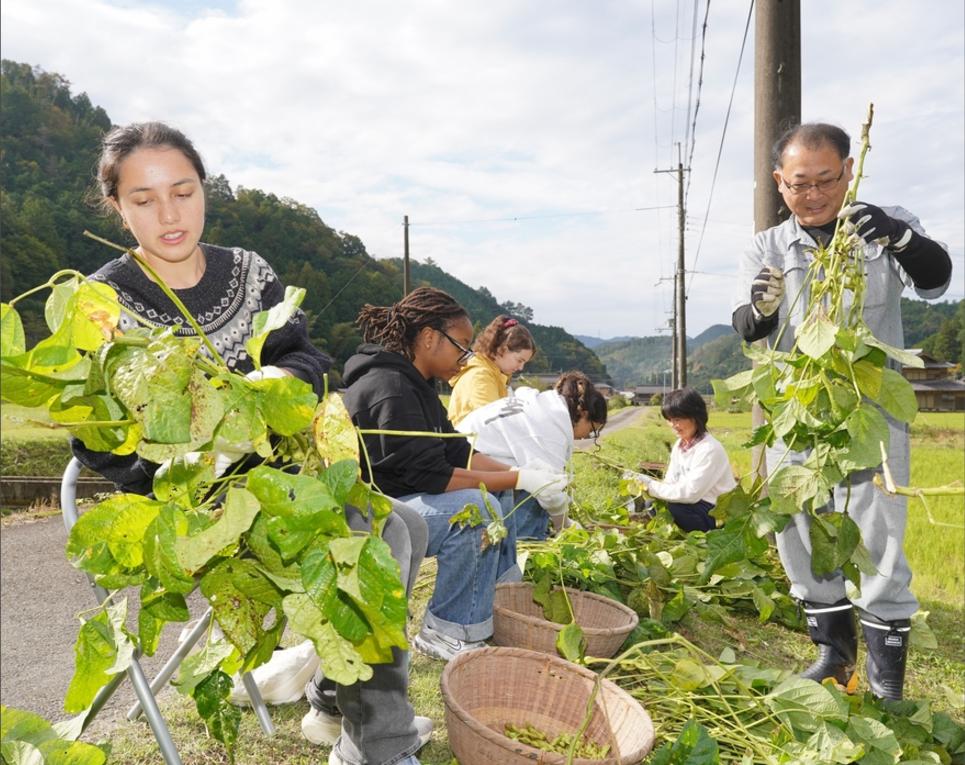 黑人留学生在日本有多惨？据丹波新闻11月8日的消息，日本天普大学的15名学生参
