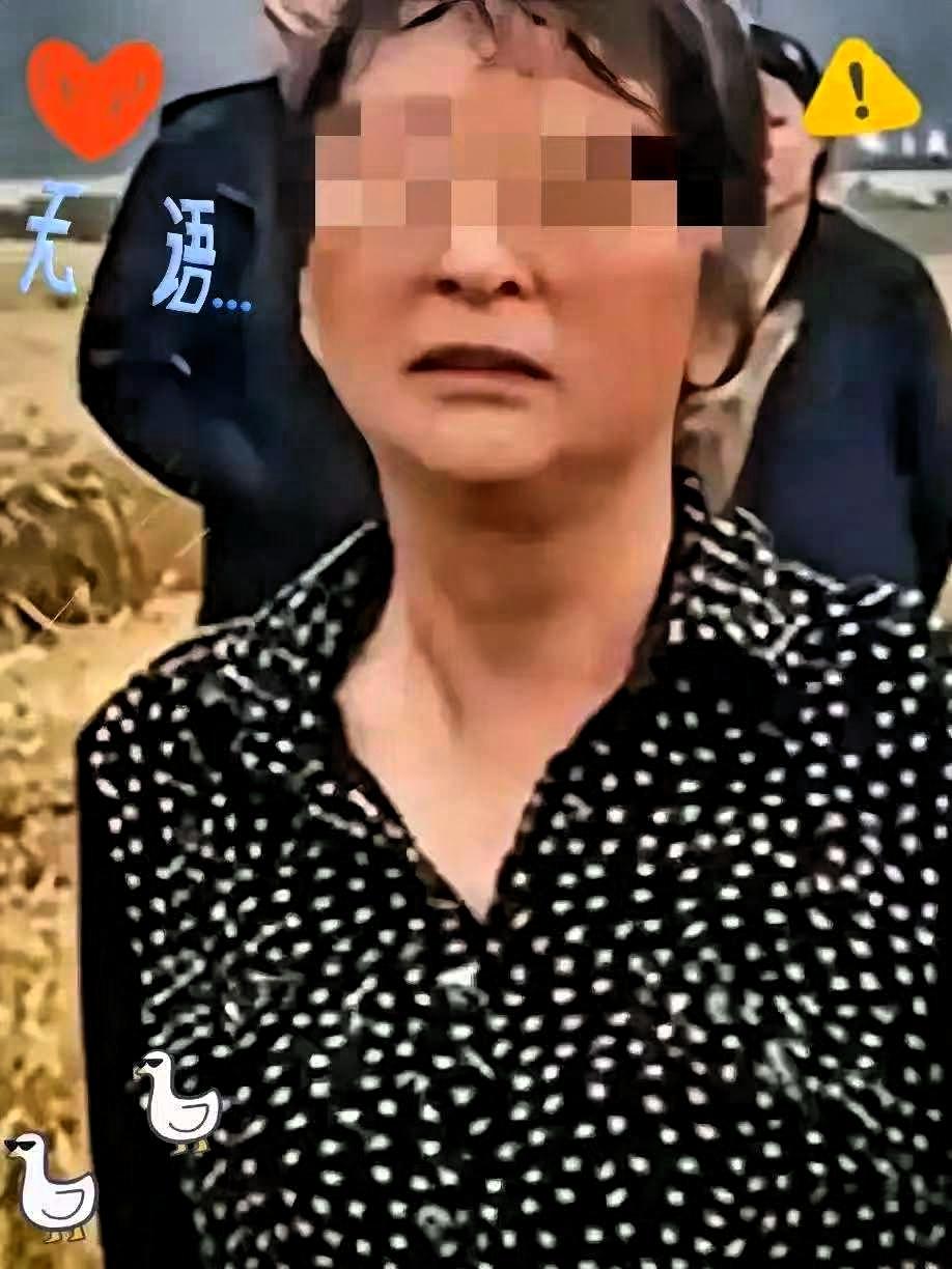 说真的，谁能想到当初闹得满城风雨的“割四赔五”大妈，现在竟成了本地收割机手心里的