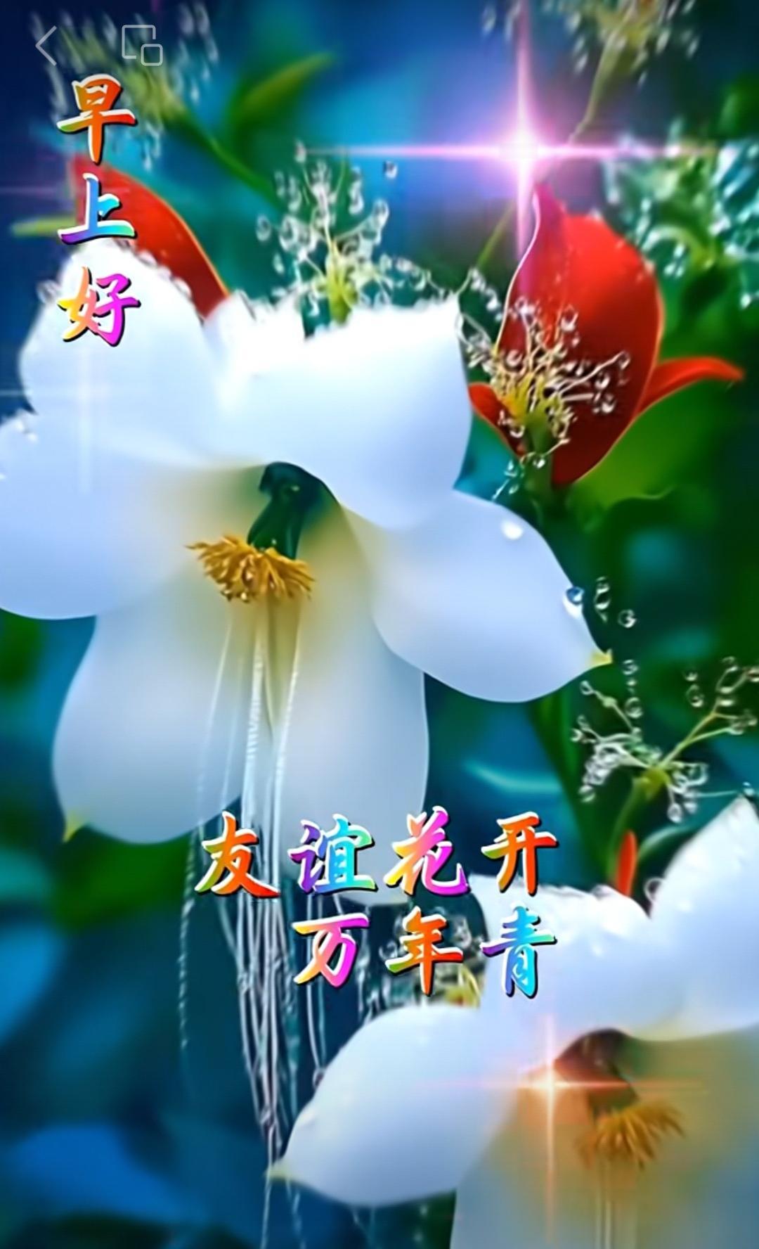 美麗的清晨旭日東昇，真誠的祝福叩門送上，願您精神好、心情好、運氣好身體好一