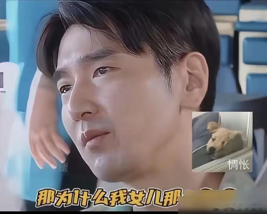 赵又廷在节目里说了句大实话。我女儿为什么那么像我？我多么希望她像妈妈。贾静雯在旁