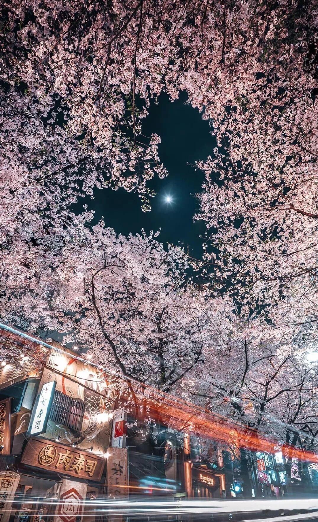 人这辈子，不过是个过客财富如海。众生作舟。有人拼命划桨。想抢更大