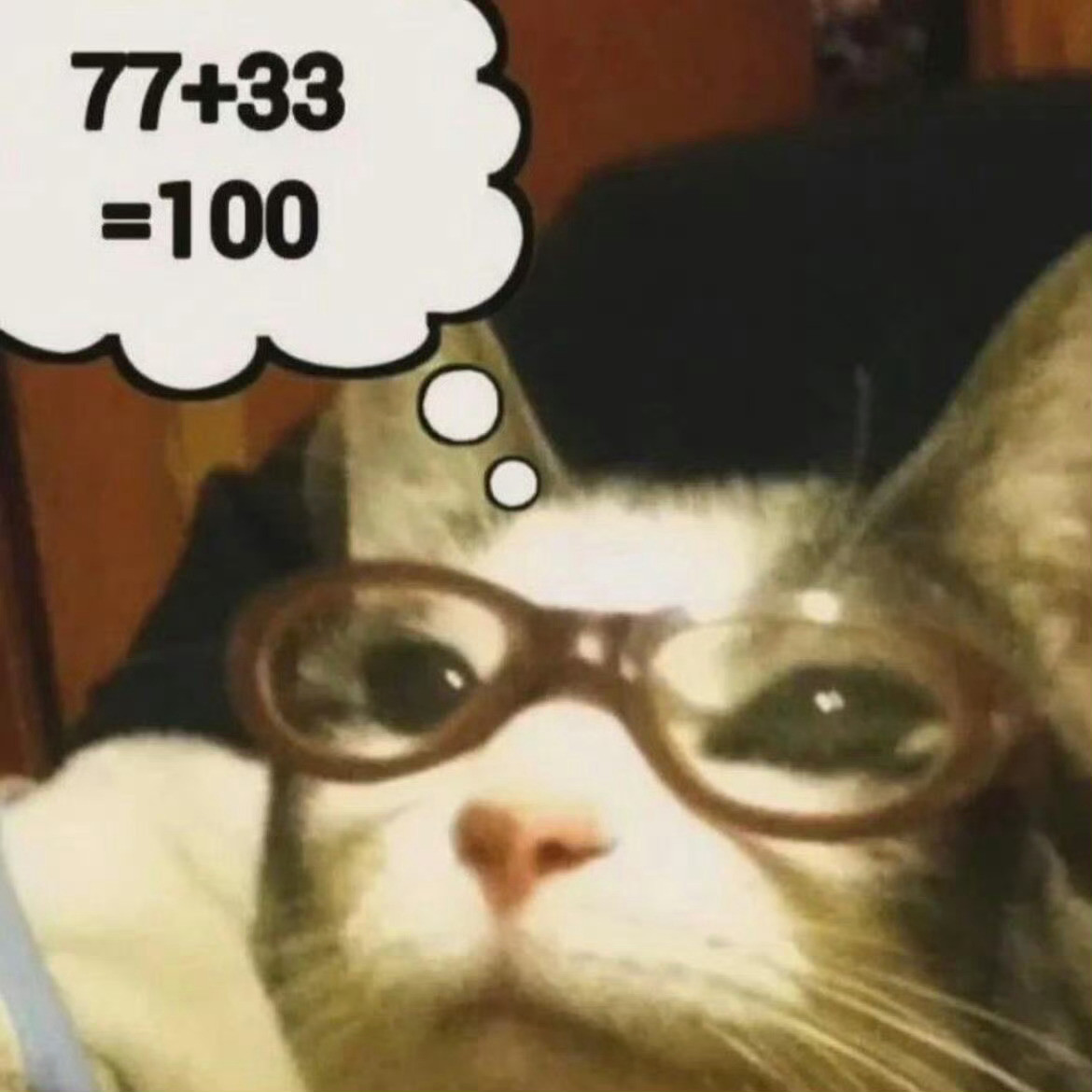 猫咪：77+33=100这对吗？​​​