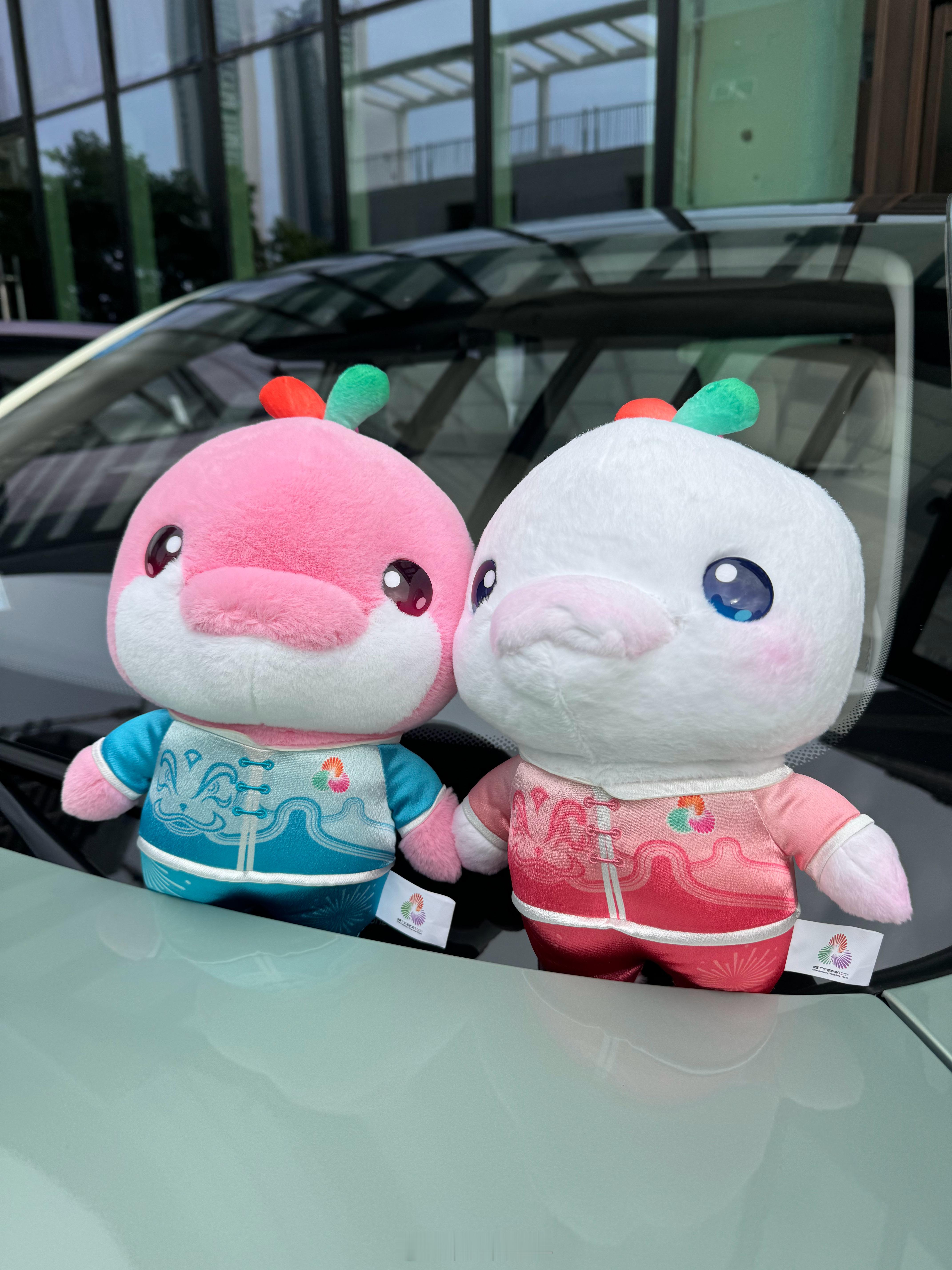 这就是最近特别火的大湾鸡么