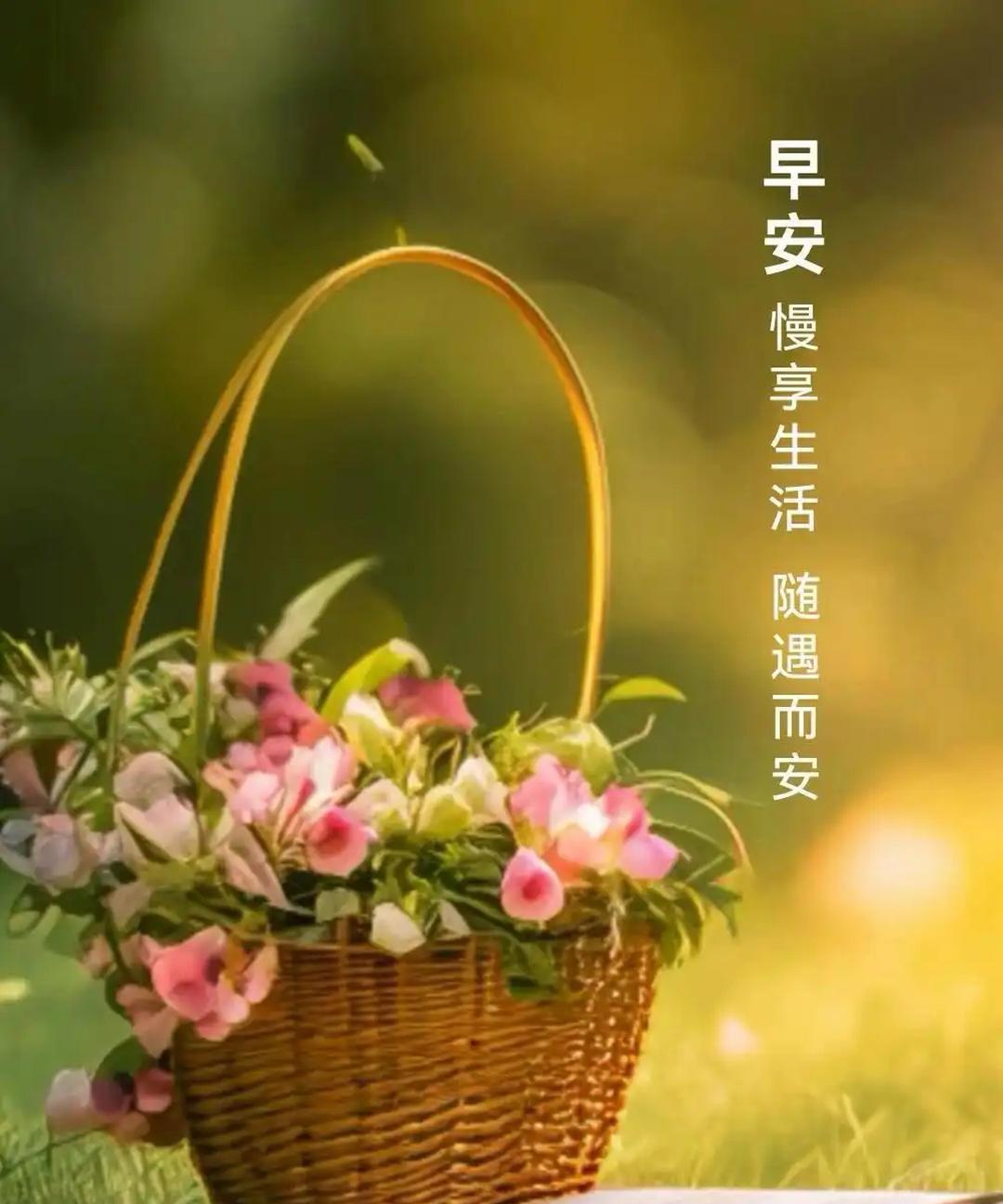 我们都是普通人，于草木蝼蚁一样平凡，生而为人，就该尽好一个人的本分，做好自己该做