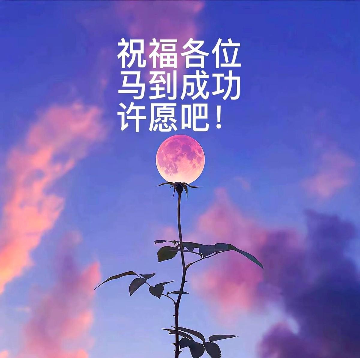 真正招人的公司，哪怕你简历是假的，学历没那么高，甚至完全没有相关经验，只要了解岗