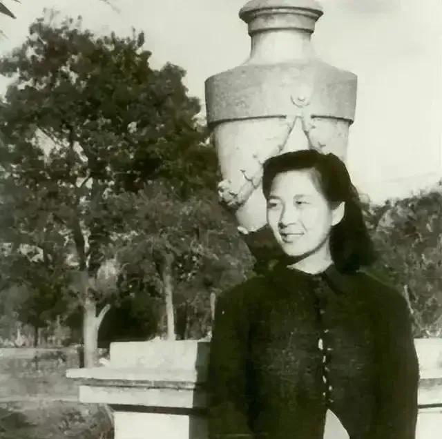 1957年9月的纽约肯尼迪国际机场，晨光透过巨大的玻璃窗洒在海关查验台上，身着藏