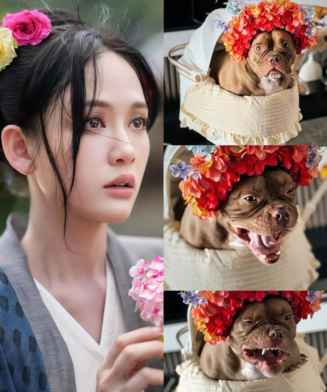 陈乔恩还是忍不住，破防了。原以为她真的不介意不生孩子，没想到还是很在意，还特意