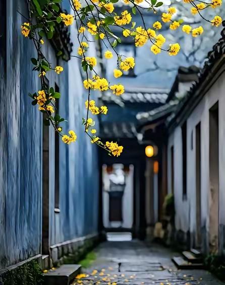 余华老师说：“人老了，最心酸的不是生活清贫，身体抱恙，而是突然有一天，你发现那个