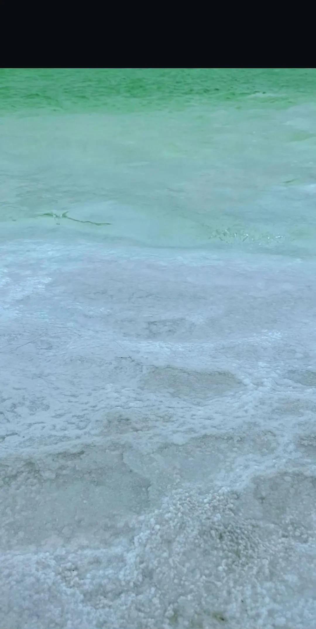 上帝打翻了杯苹果汁景区里分布着大大小小不同的盐湖每个盐湖里矿物质含量的不同呈